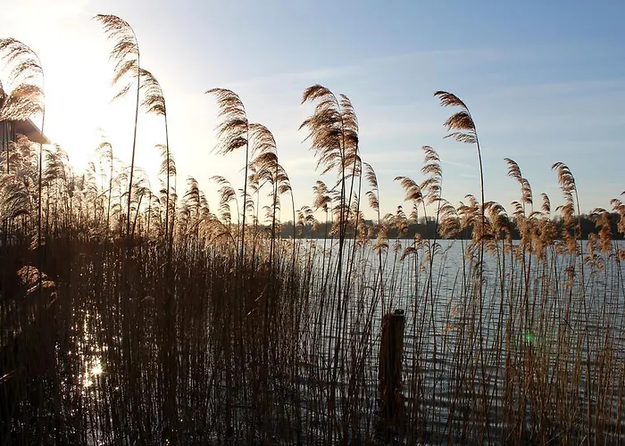 Der Seehof Ratzeburg